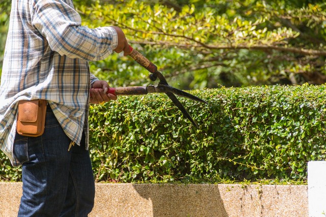 Garden Maintenance Clapton, E5