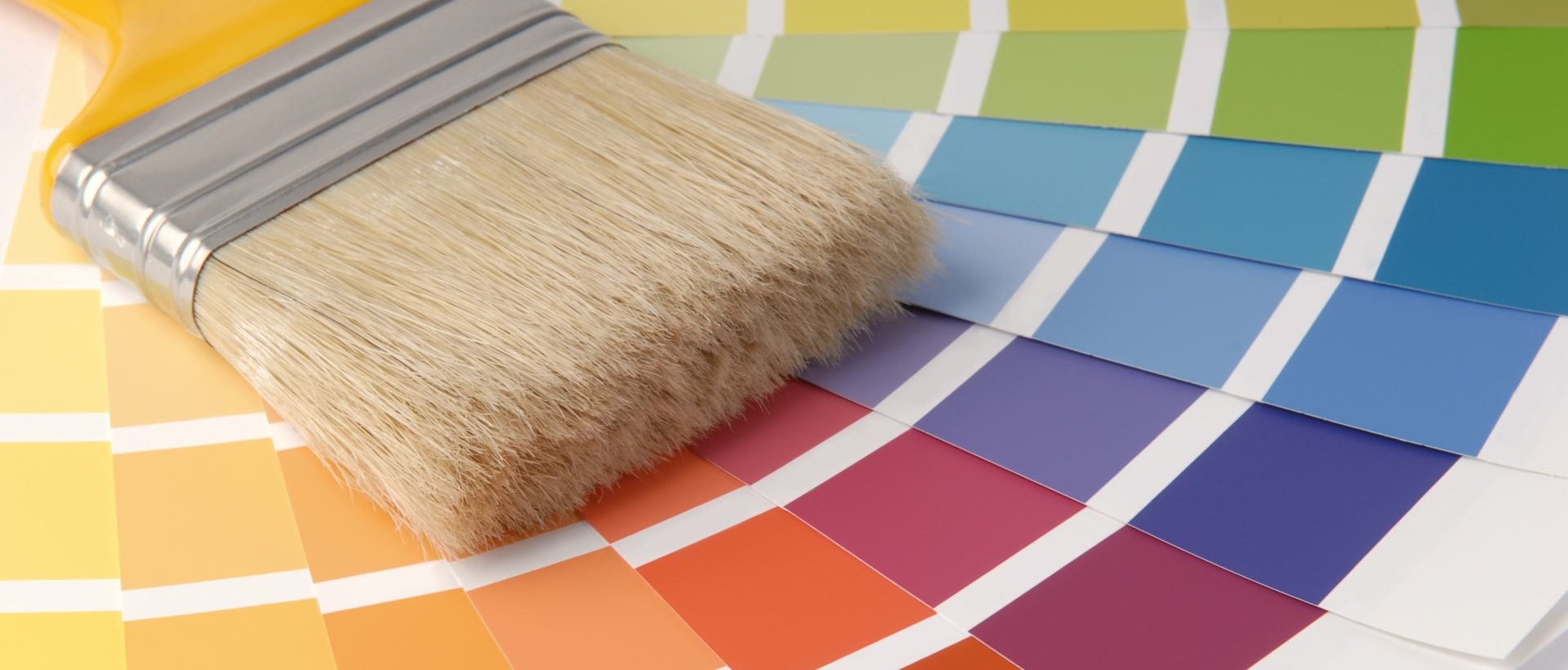 Painter E5